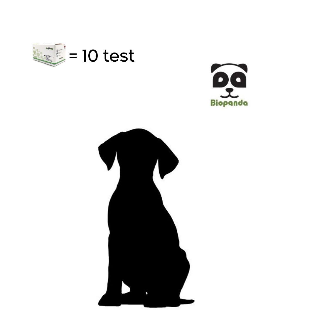 PARVO VIRUS + CORONAVIRUS + GIARDIA 	(CPV Ag + CCV Ag + Giardia Ag)